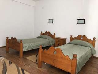 Курортные отели Valea Salbatica Şinca Nouă Двухместный номер с 1 кроватью или 2 отдельными кроватями, вид на горы-1