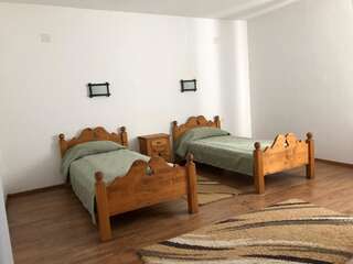 Курортные отели Valea Salbatica Şinca Nouă Двухместный номер с 1 кроватью или 2 отдельными кроватями, вид на горы-5